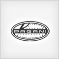 P cars specification and fuel consumption